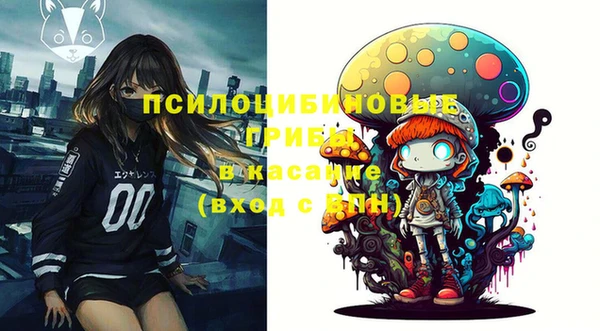 бошки Балахна