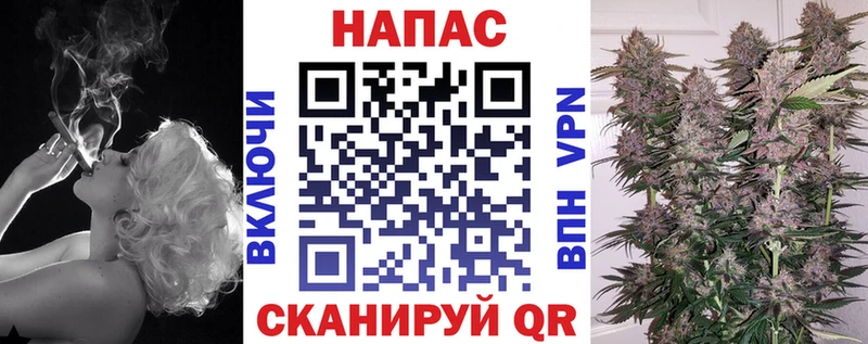 Конопля план  Гаврилов Посад 